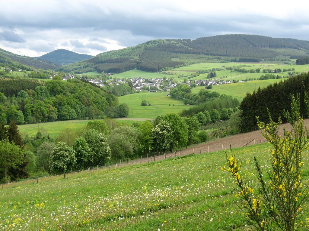Ferienwohnung Moos-Hochsauerland Wiemeringhausen Стая снимка